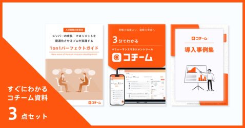 すぐにわかるコチーム資料3点セット